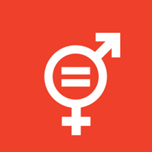 SDG 5