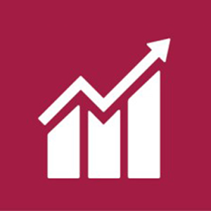 SDG 8