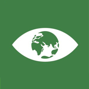 SDG 13