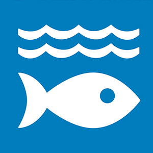 SDG 14