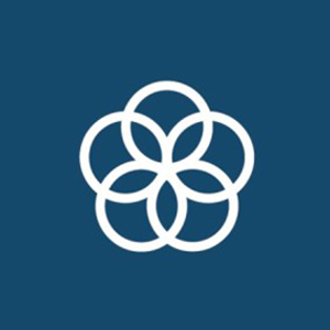 SDG 17